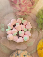 Mallows - Pick your own pick n mix Mallows 100g per choice of sweet! Pick N Mix Uk Candy Snack Marshmallow
